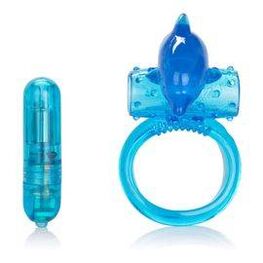 Anello erettivo