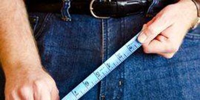 Le dimensioni dell'organo genitale di un uomo
